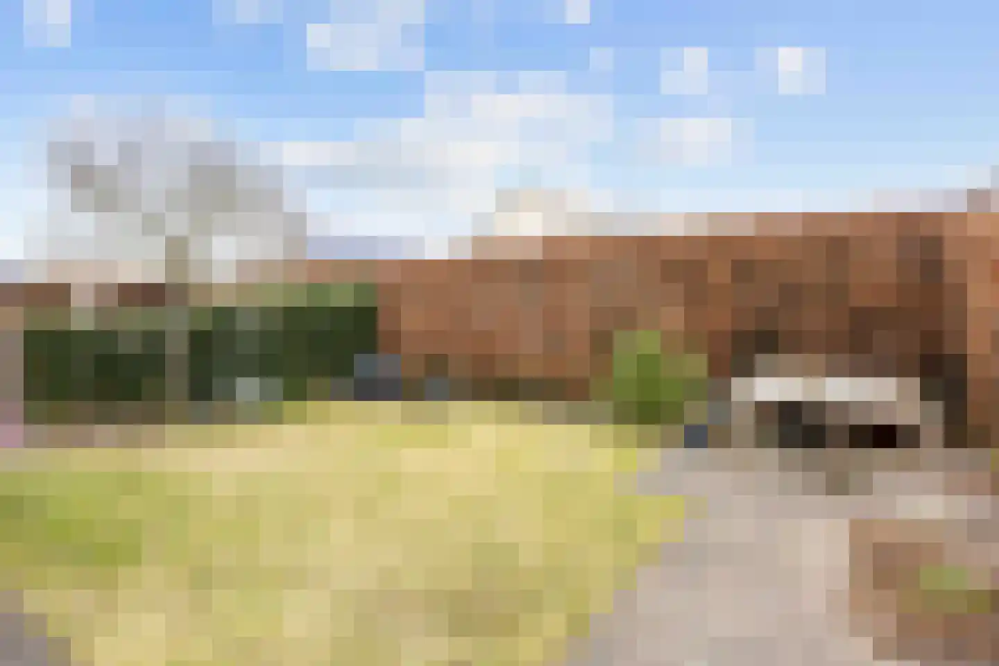 Havik 20 Bedum thumbnail 64