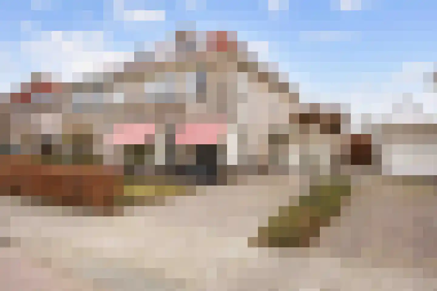 Havik 20 Bedum thumbnail 8