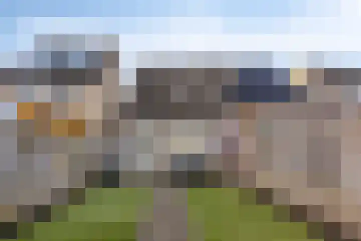 Havik 20 Valkenswaard thumbnail 16