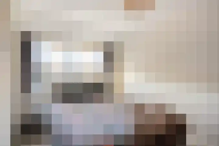 Havik 20 Valkenswaard thumbnail 18