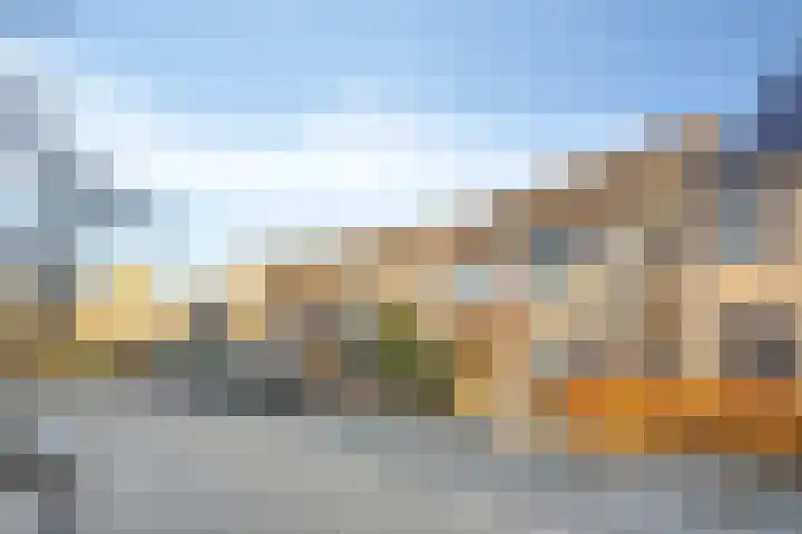 Havik 20 Valkenswaard thumbnail 6