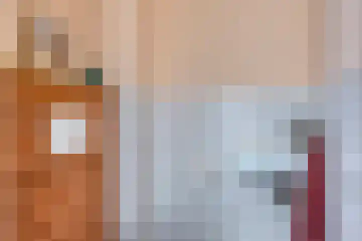 Havik 22 Bedum thumbnail 10
