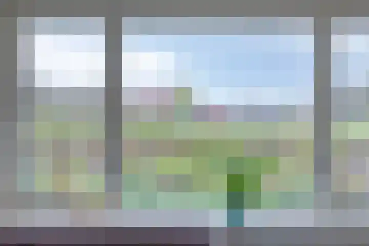 Havik 22 Bedum thumbnail 13