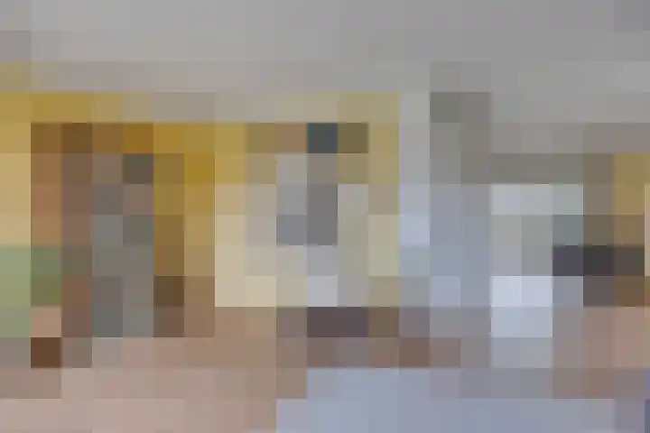 Havik 22 Bedum thumbnail 14