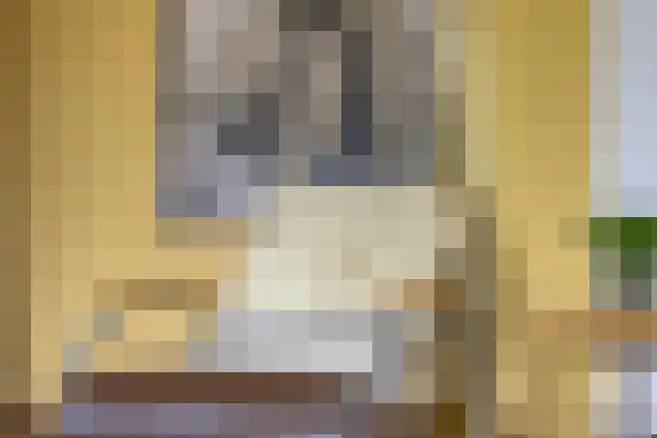 Havik 22 Bedum thumbnail 15