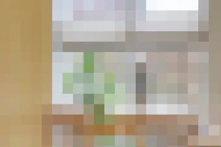 Havik 22 Bedum thumbnail 17