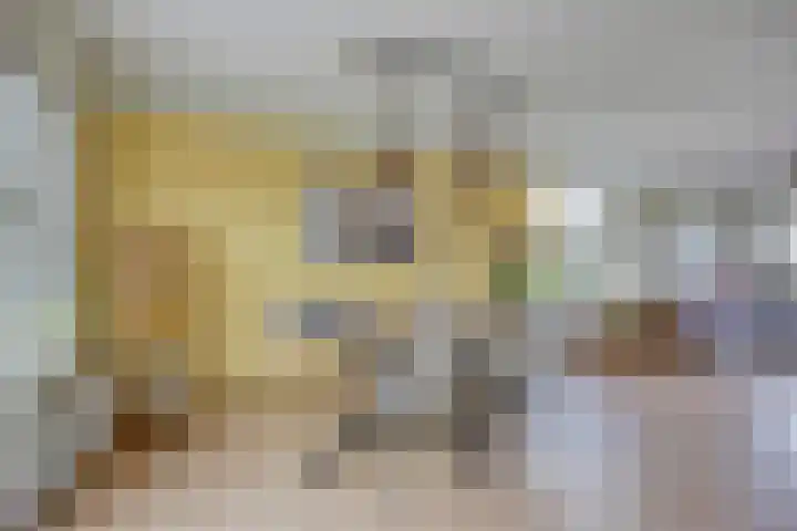 Havik 22 Bedum thumbnail 18