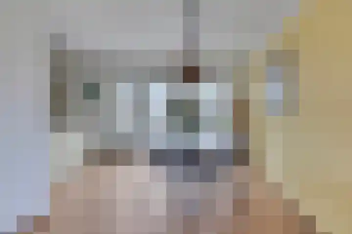 Havik 22 Bedum thumbnail 19