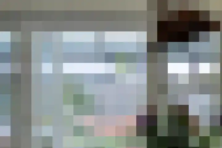 Havik 22 Bedum thumbnail 20