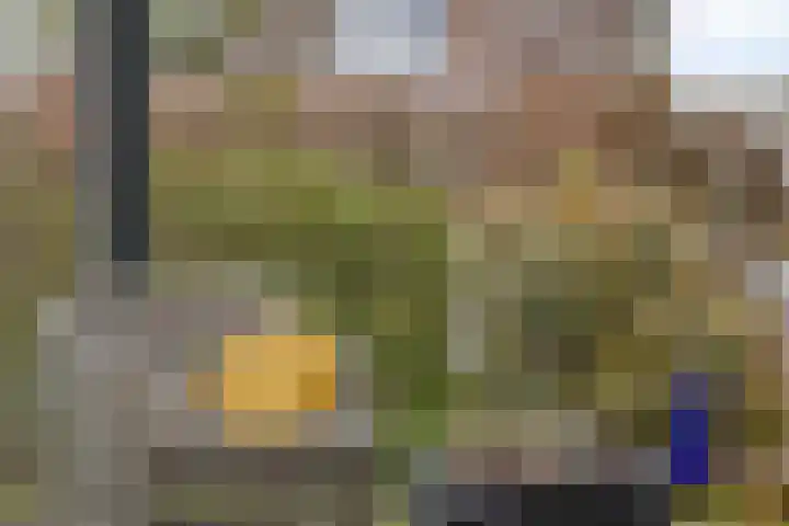 Havik 22 Bedum thumbnail 23