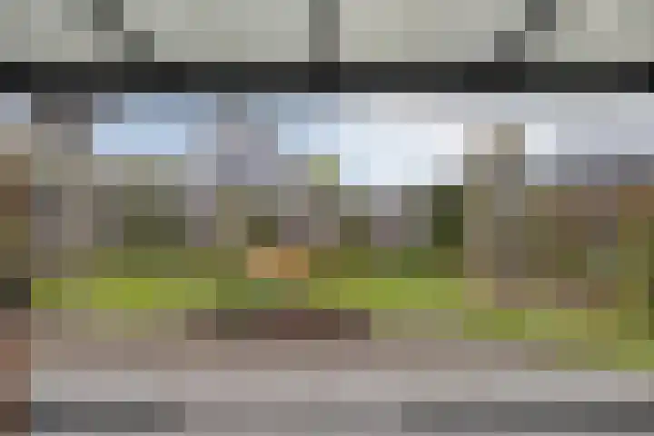 Havik 22 Bedum thumbnail 24