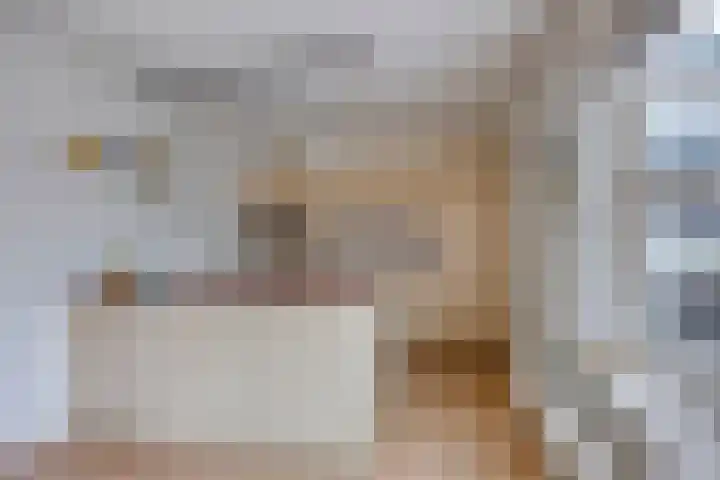 Havik 22 Bedum thumbnail 25