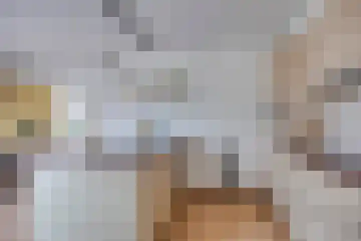 Havik 22 Bedum thumbnail 26