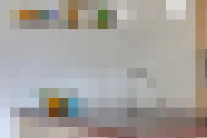 Havik 22 Bedum thumbnail 27