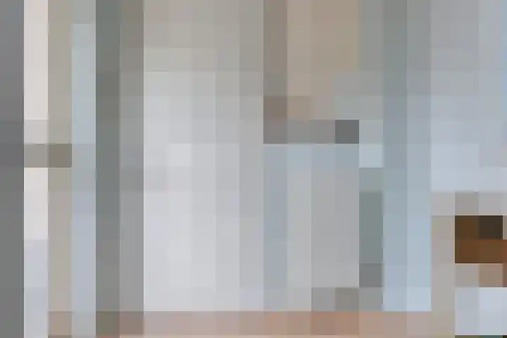 Havik 22 Bedum thumbnail 28
