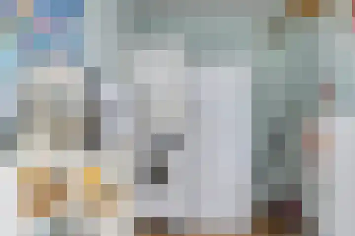 Havik 22 Bedum thumbnail 29