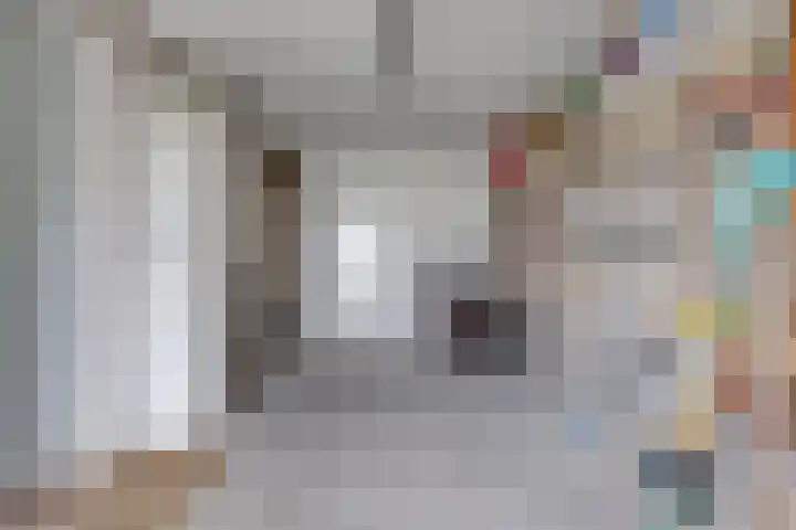 Havik 22 Bedum thumbnail 30