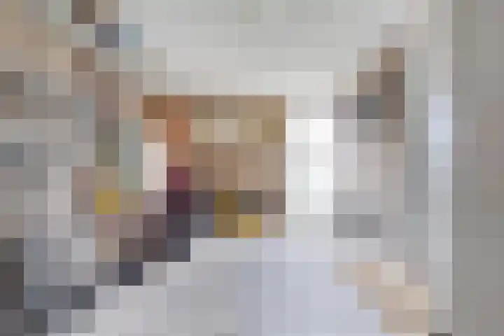 Havik 22 Bedum thumbnail 31