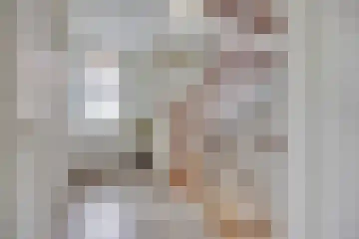 Havik 22 Bedum thumbnail 32