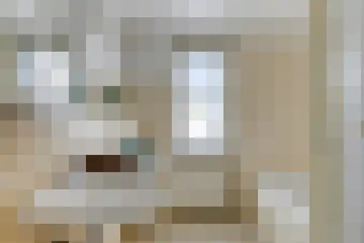 Havik 22 Bedum thumbnail 33