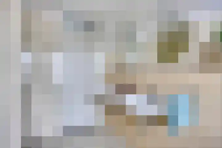 Havik 22 Bedum thumbnail 34
