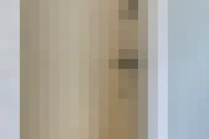 Havik 22 Bedum thumbnail 35