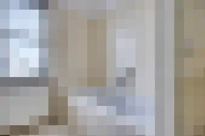 Havik 22 Bedum thumbnail 36