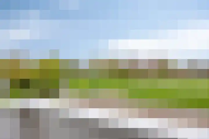 Havik 22 Bedum thumbnail 40