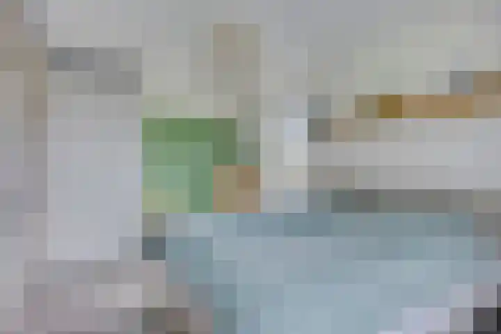 Havik 22 Bedum thumbnail 41