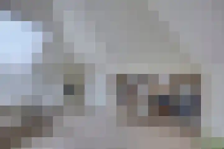 Havik 22 Bedum thumbnail 45