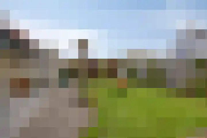 Havik 22 Bedum thumbnail 46