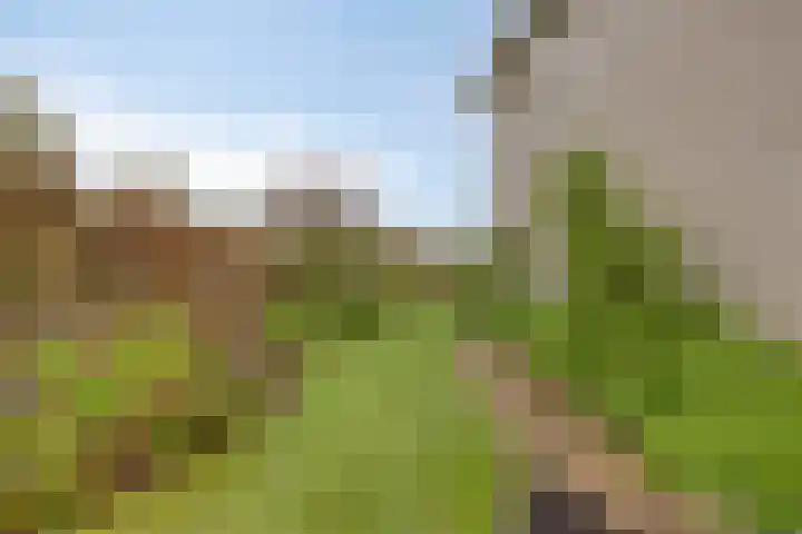 Havik 22 Bedum thumbnail 47