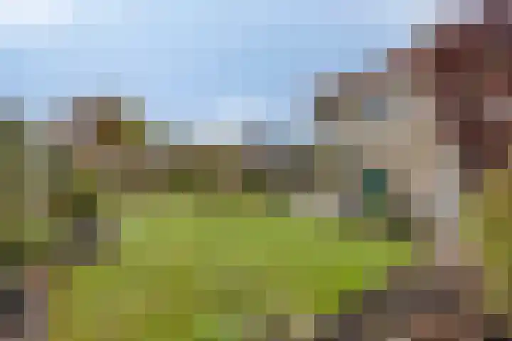 Havik 22 Bedum thumbnail 48