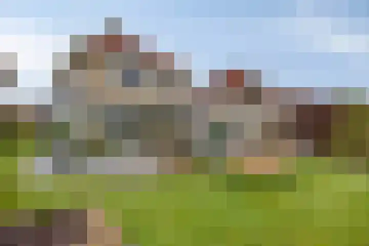 Havik 22 Bedum thumbnail 49