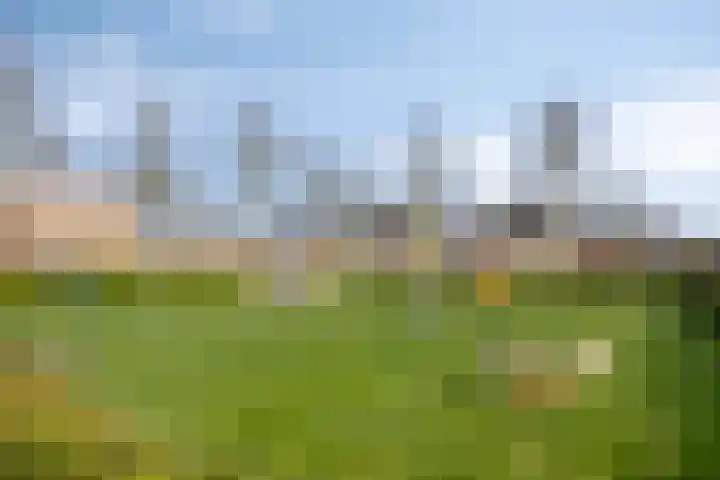 Havik 22 Bedum thumbnail 50