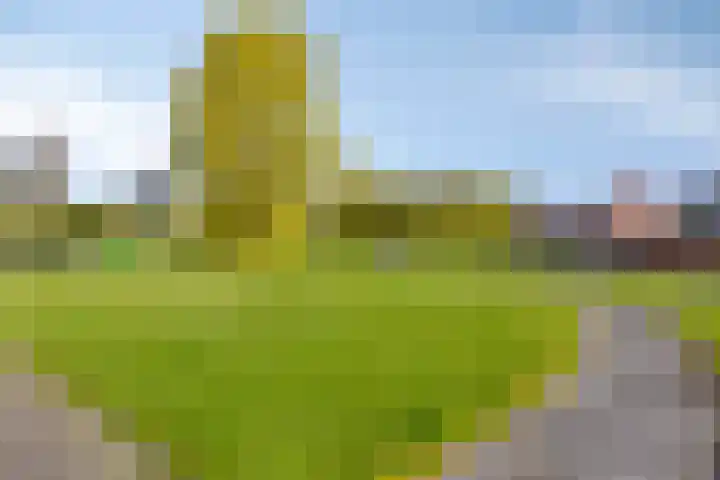 Havik 22 Bedum thumbnail 51
