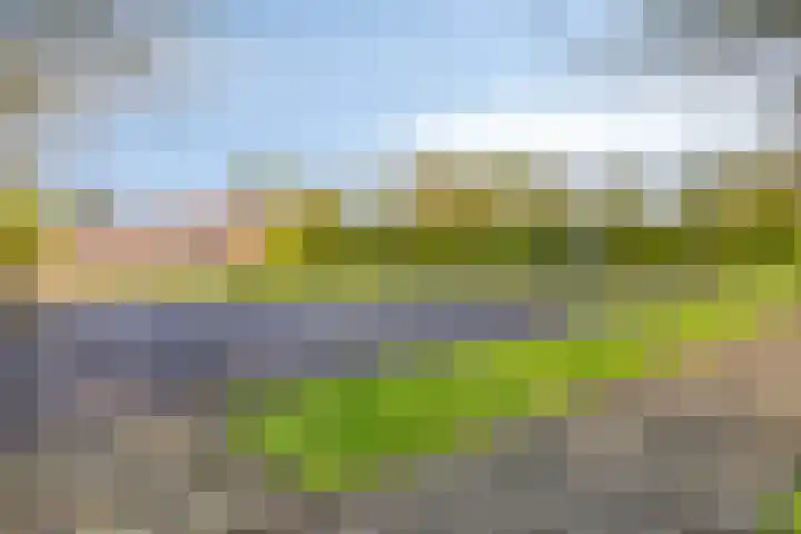 Havik 22 Bedum thumbnail 52