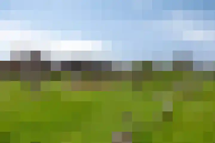 Havik 22 Bedum thumbnail 53