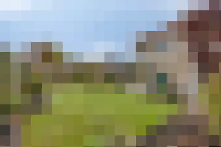 Havik 22 Bedum thumbnail 54