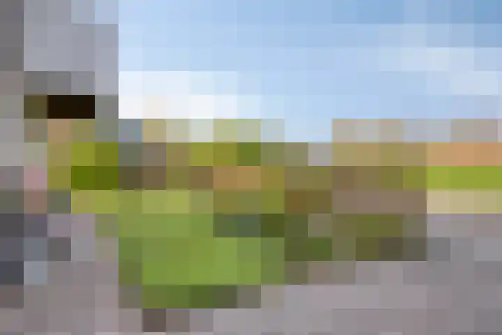 Havik 22 Bedum thumbnail 8