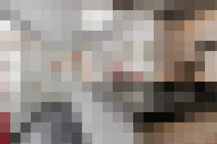 Havik 23 Amersfoort thumbnail 17