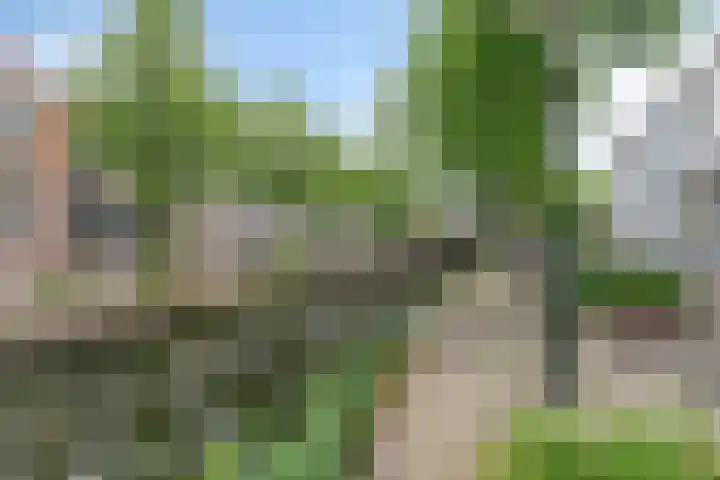 Havik 23 Amersfoort thumbnail 51