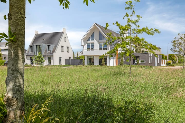 Havik 27 dans Lichtenvoorde photo