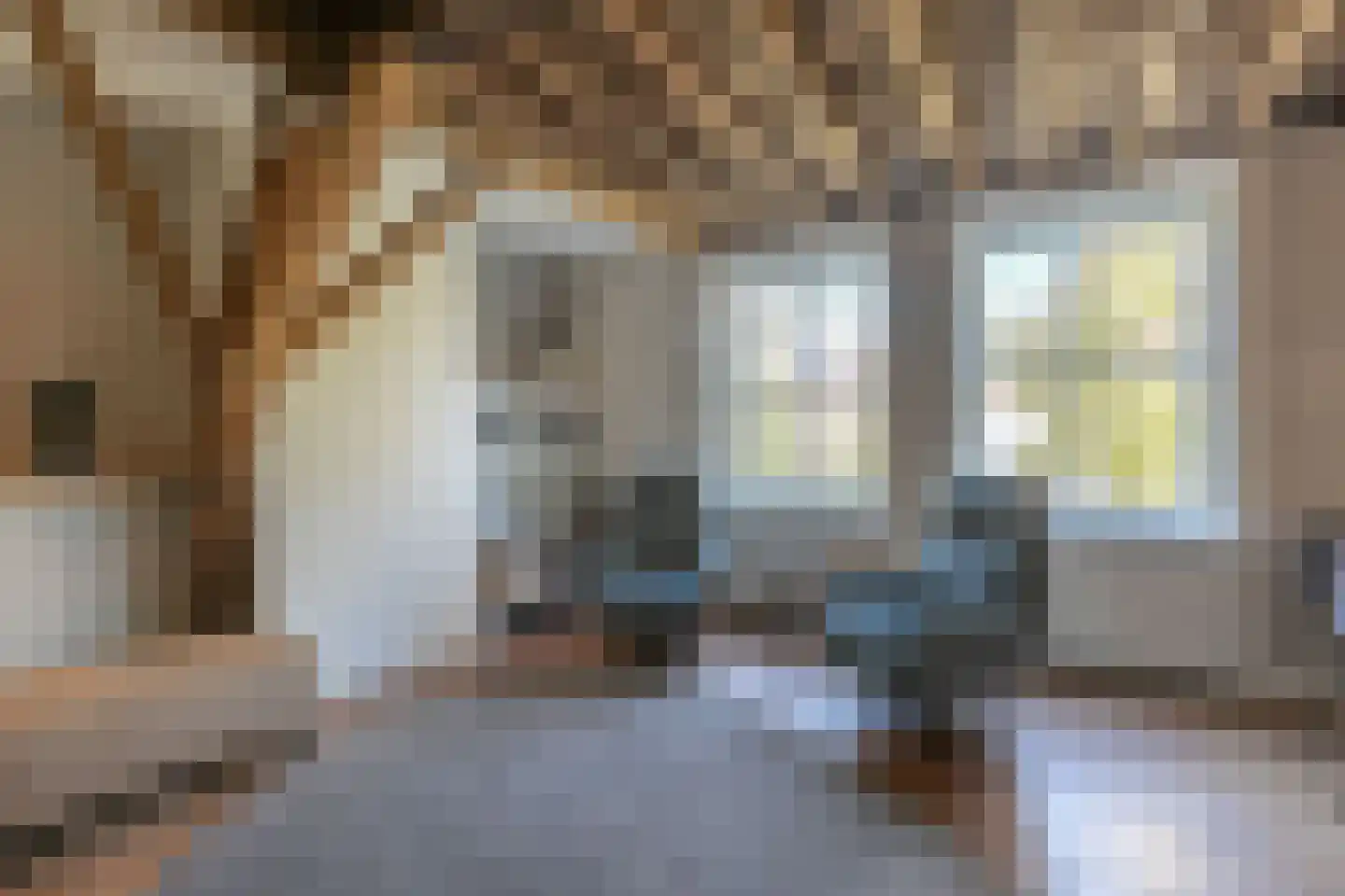 Havik 27 Amersfoort thumbnail 18