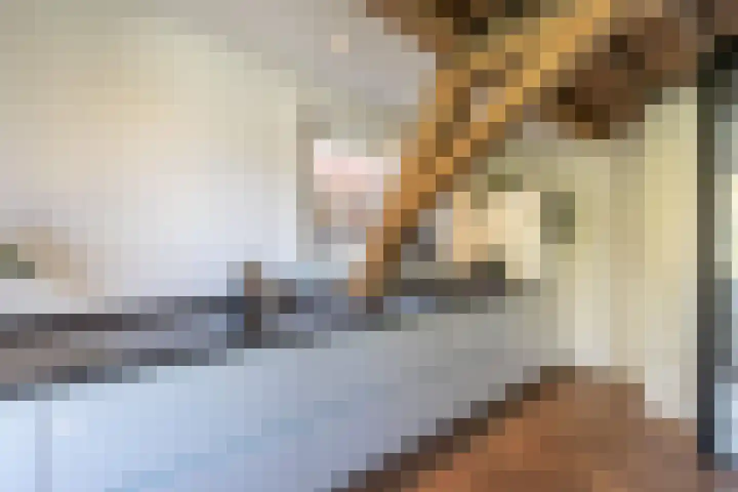 Havik 27 Amersfoort thumbnail 25
