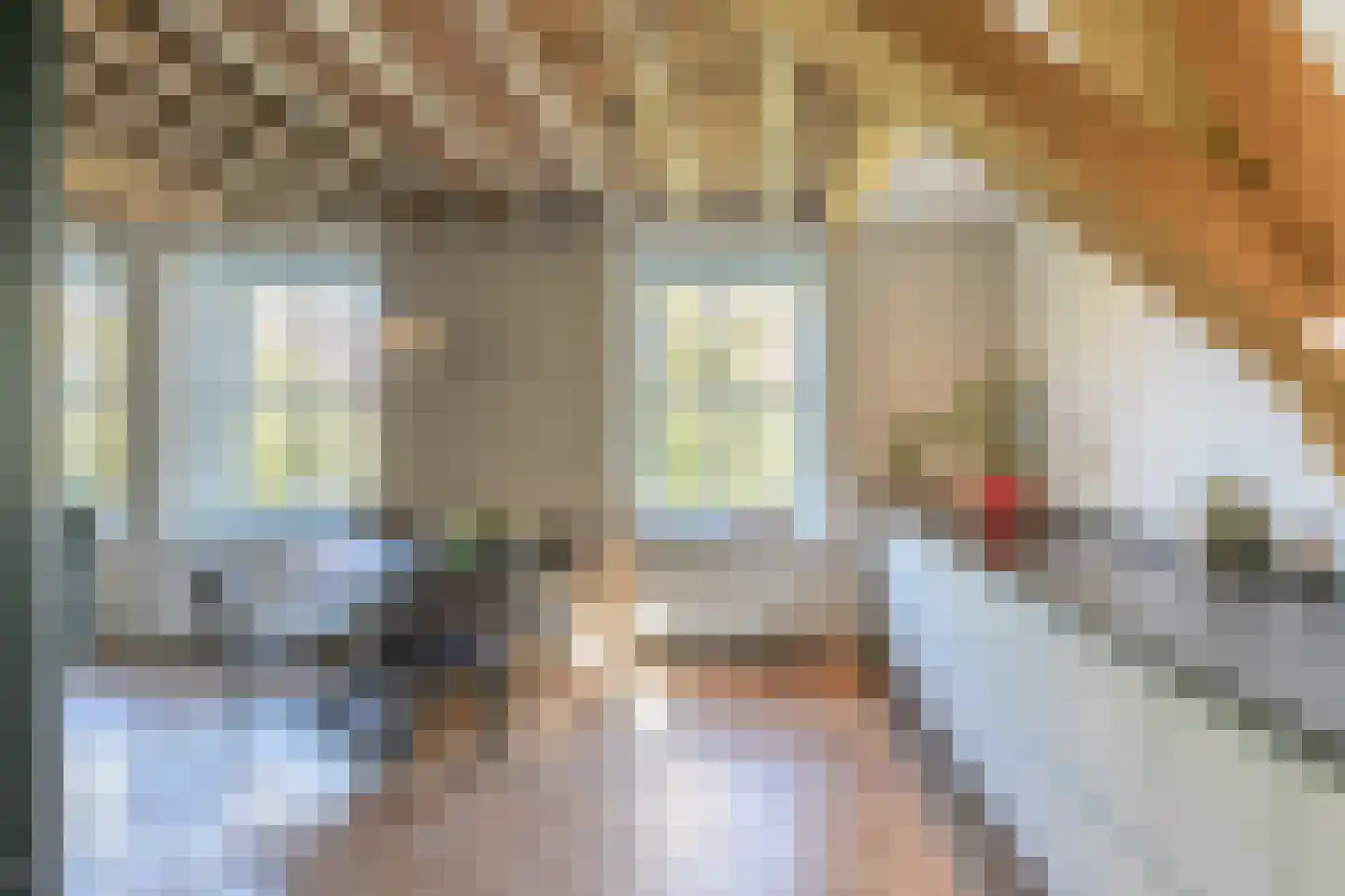 Havik 27 Amersfoort thumbnail 26