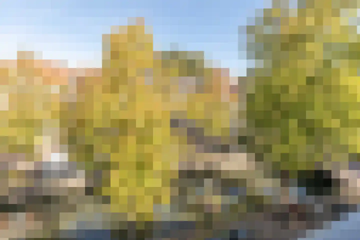 Havik 27 Amersfoort thumbnail 33