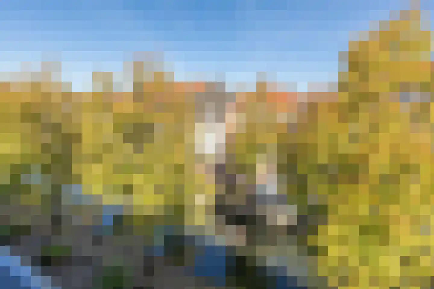 Havik 27 Amersfoort thumbnail 34