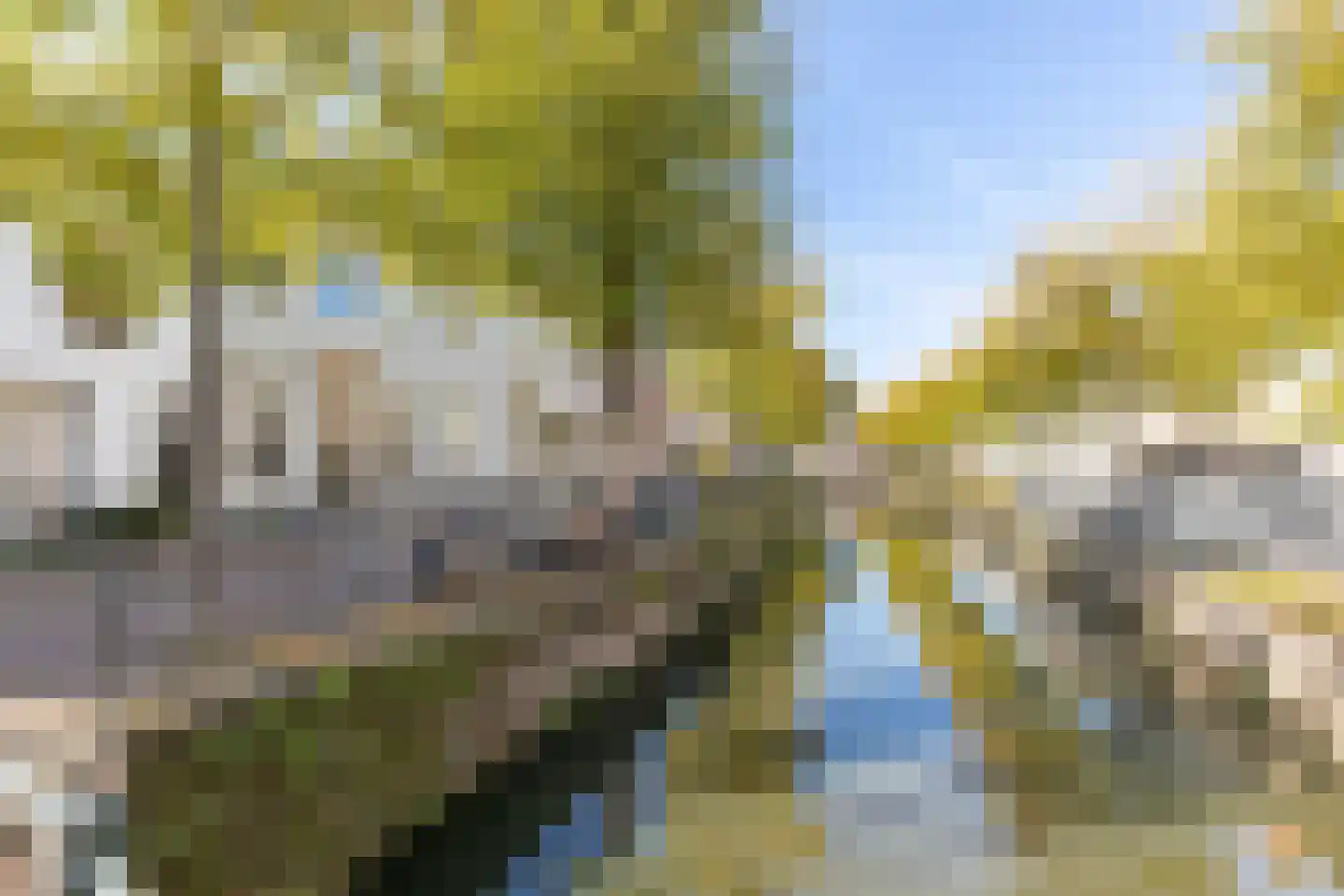 Havik 27 Amersfoort thumbnail 35
