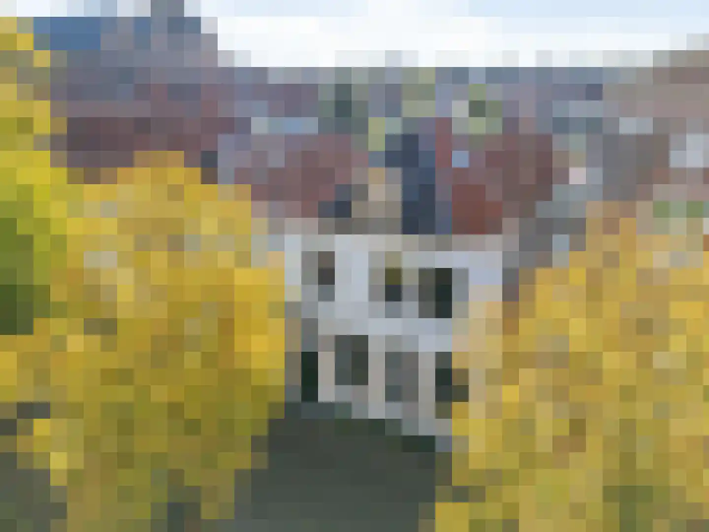 Havik 27 Amersfoort thumbnail 38